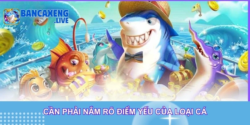 Cần phải nắm rõ điểm yếu của loại cá